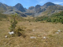 mampodre