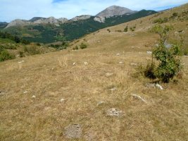 mampodre
