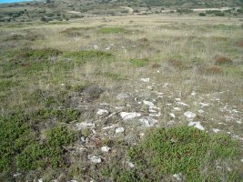 campo tumular la mazorra