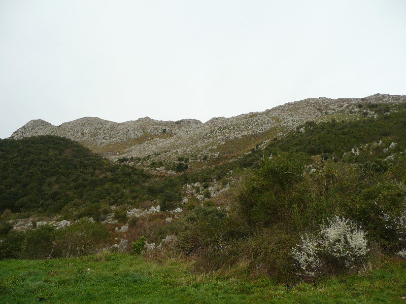 Pico del Carlista