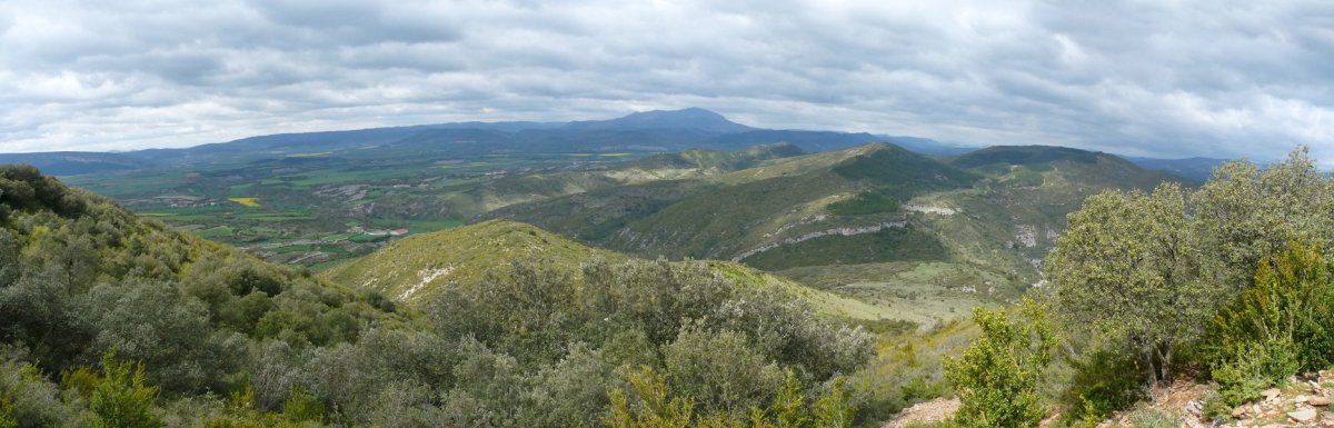 Erromanzadoko bazterrak Txustatik