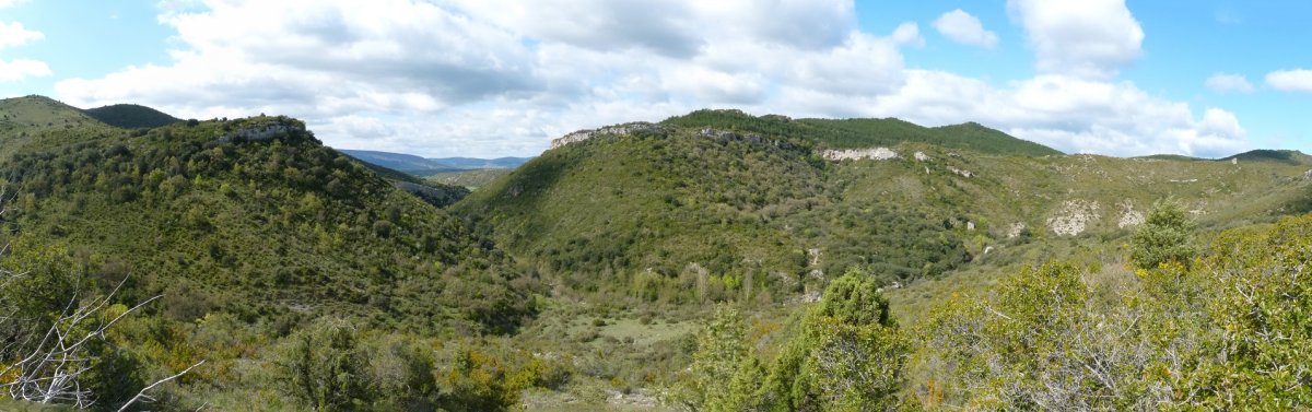 Ugarrongo arroila