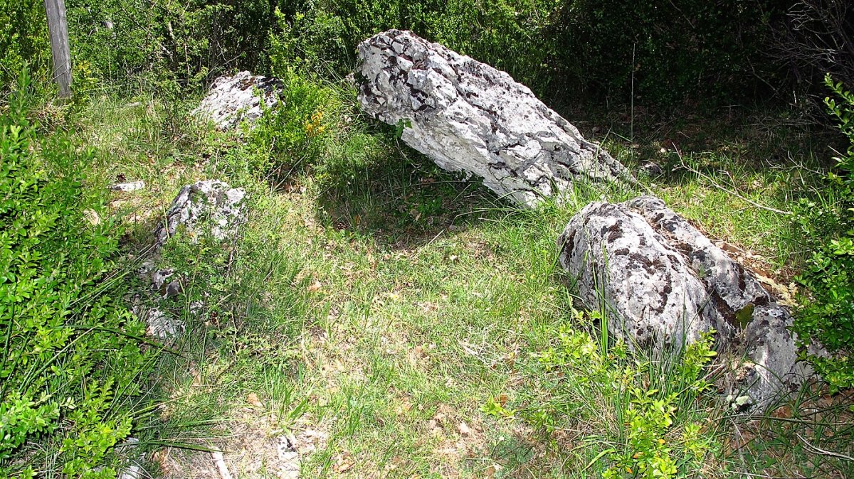 Aranketa trikuharria, Zuntzarren-Lizoanibar