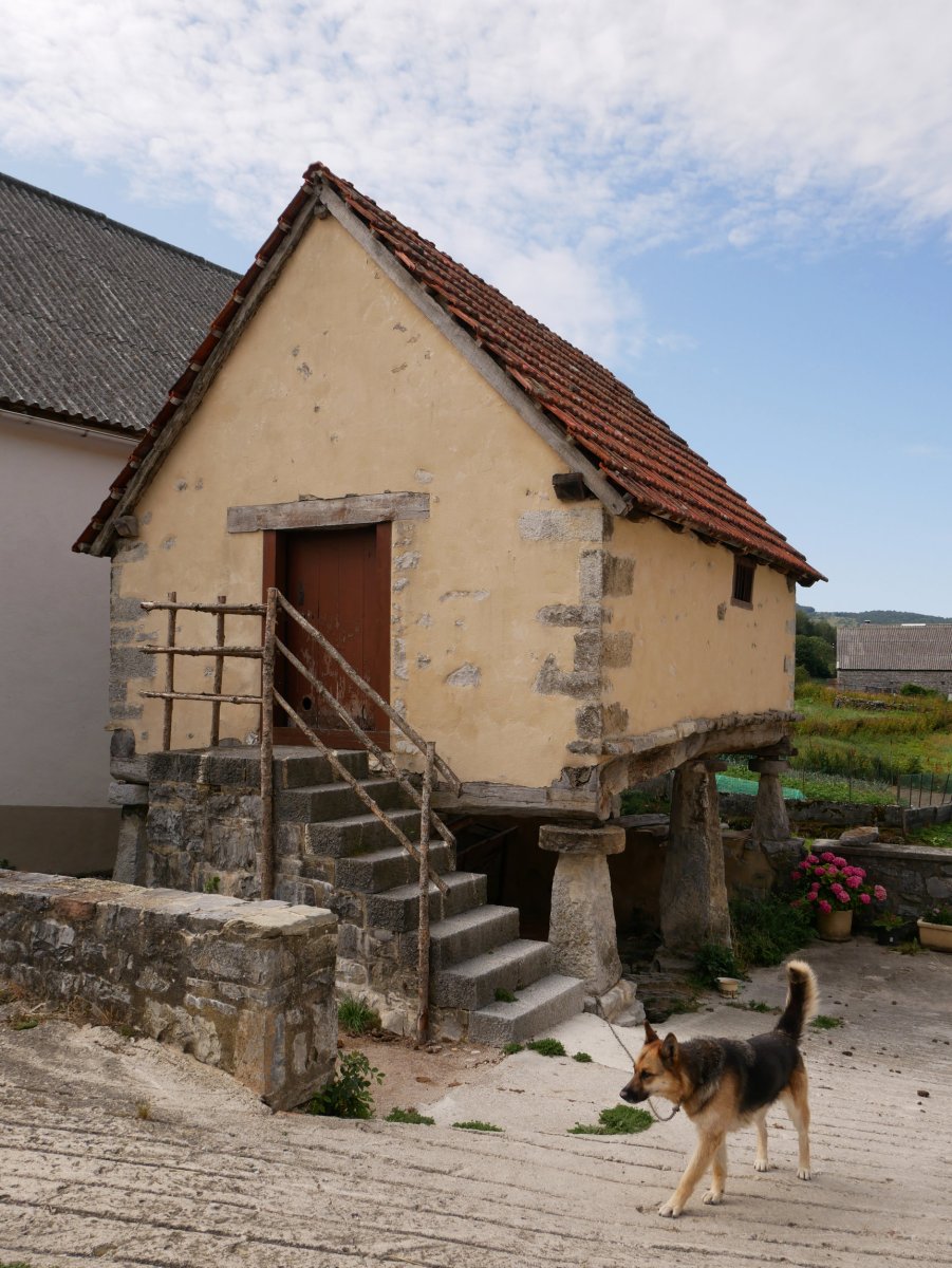 Portal etxeko garaia, Hiriberri