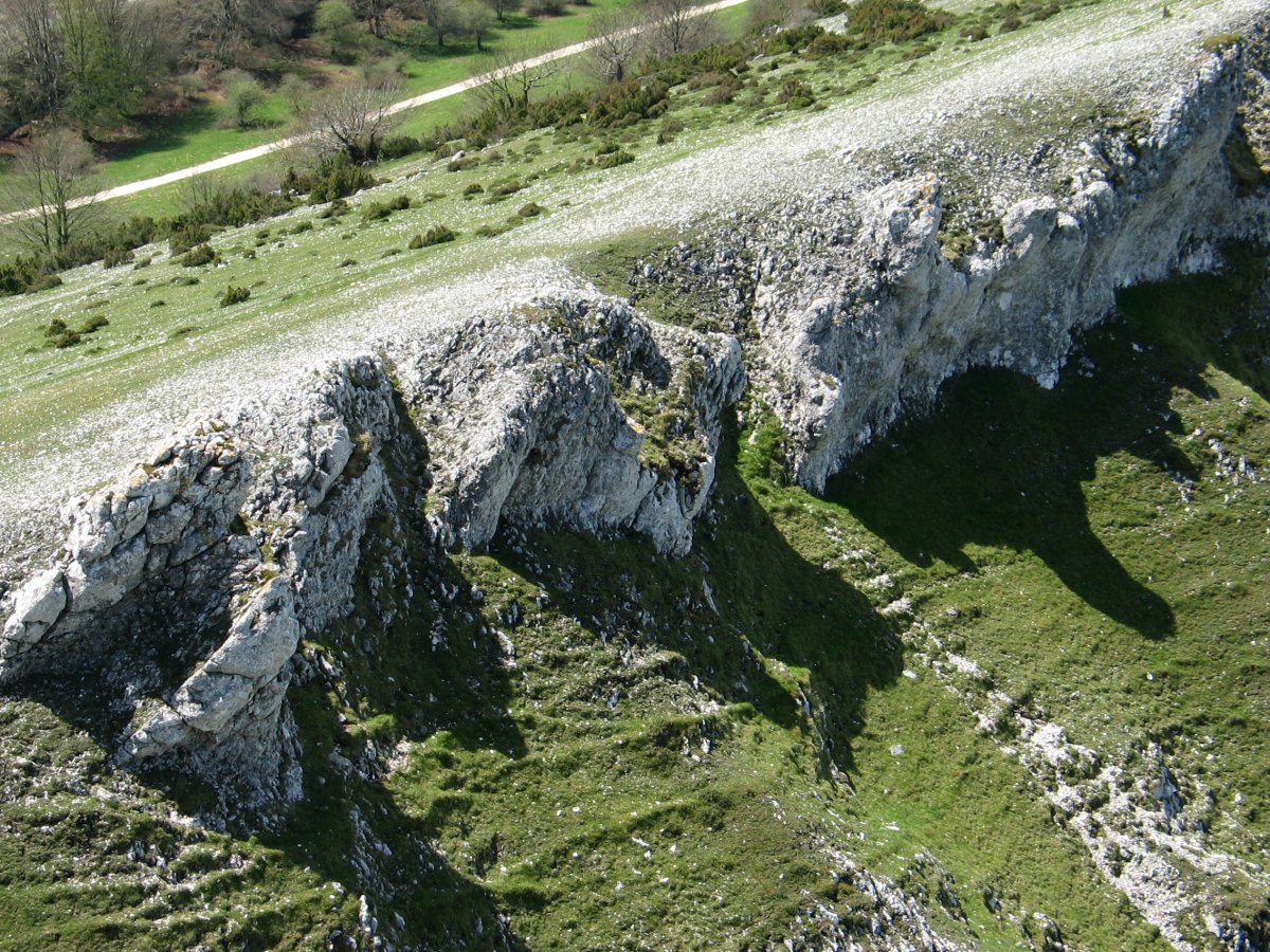 Inguruko paisaiaren pasarte bat