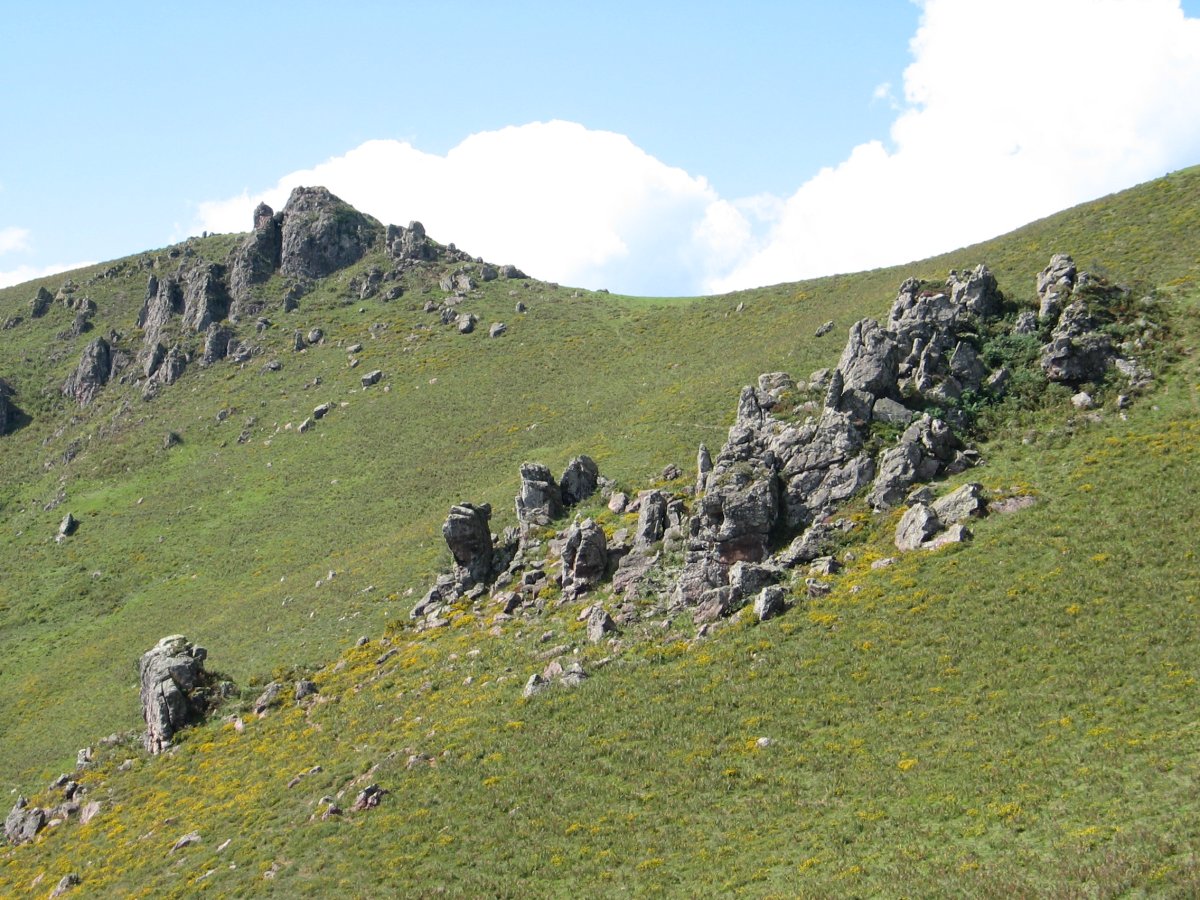 Tontorra eta inguruak