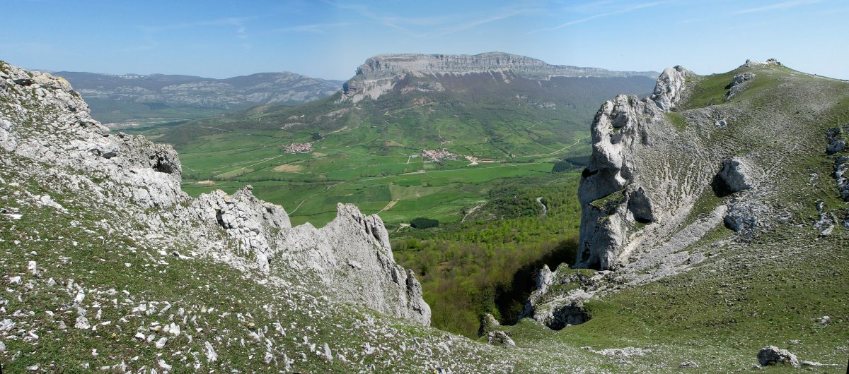 Gertu dagoen gandorrera igo eta hauxe da ikusten dena