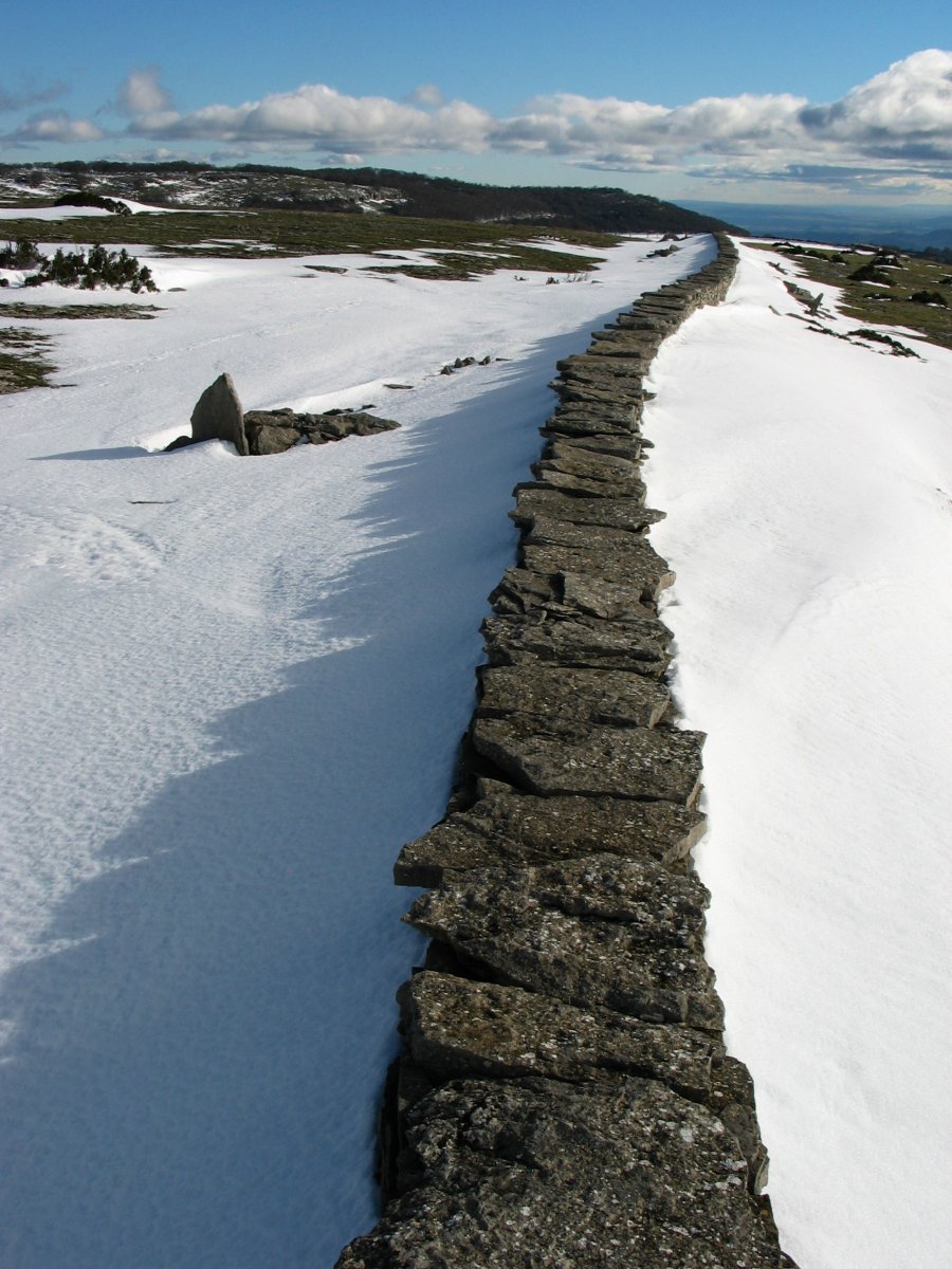 Harresia elur artean