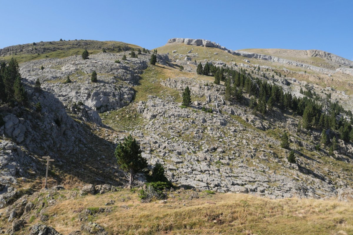 Hoya del Portillo de Larra aldera jaisten hasi aurretik, Paquiza tontorrera jotzeko ordua da