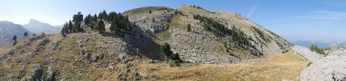 Paquiza, IEko lepotik