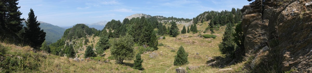 Peña del Rey aldetik Belagua aldera jaisten den bidearen mendatea