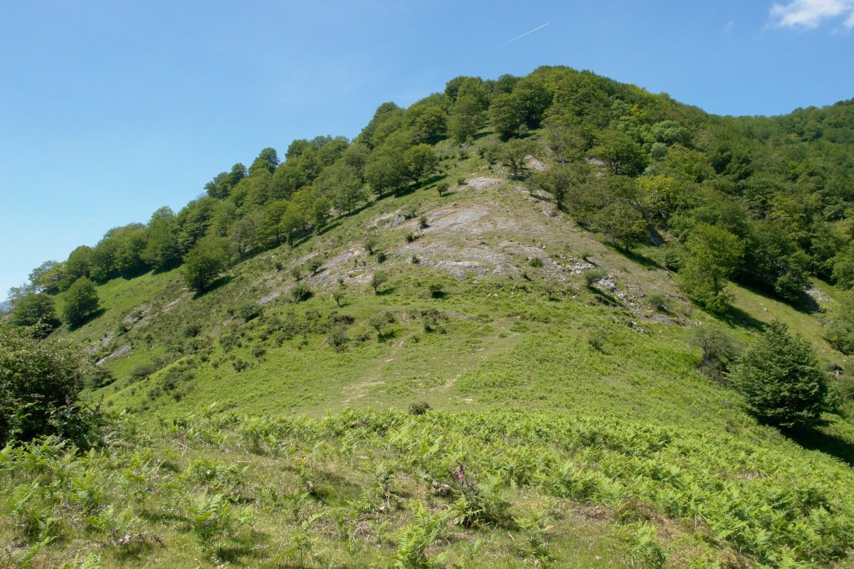 Urdanzarrateko lepoa eta Pagoeta IEko hegia