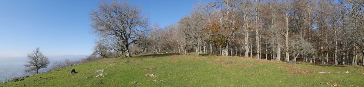 Eguterako gainaldea, Saldisgain