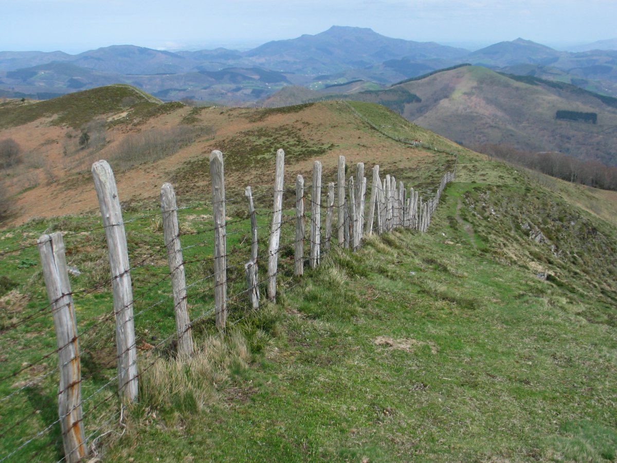 IEko bizkarreko hesia