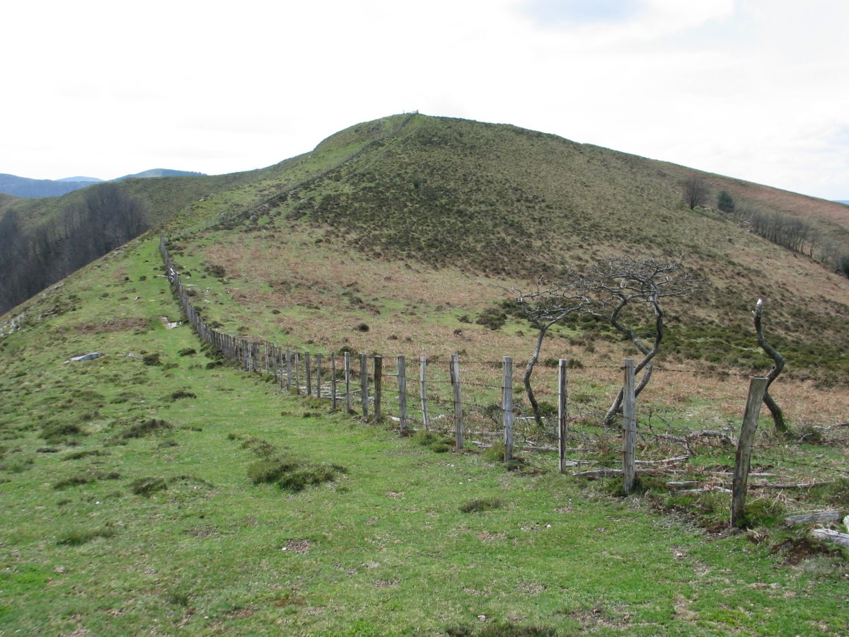 Izu, iparraldeko bizkarretik
