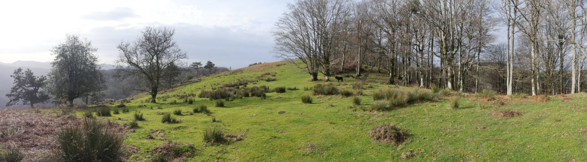 Bidango Gaina, ekialdeko bizkarra