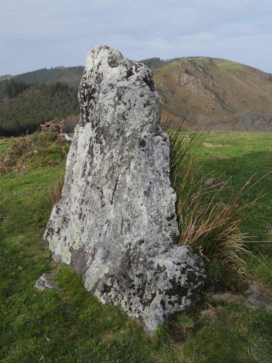 Bidango Gaina zutarria