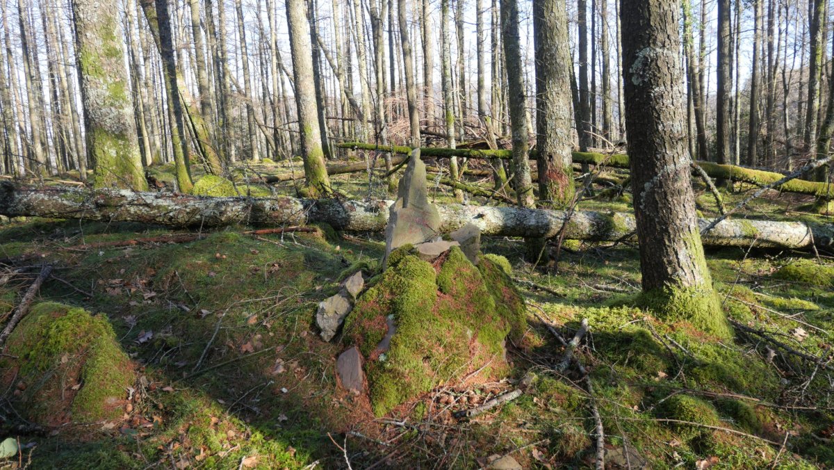 Deskarga mendiaren tontorra