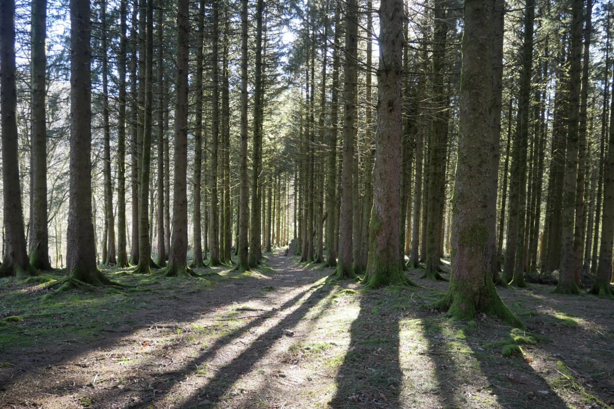 Izeidia, Deskarga mendiaren hegoaldeko bizkarrean