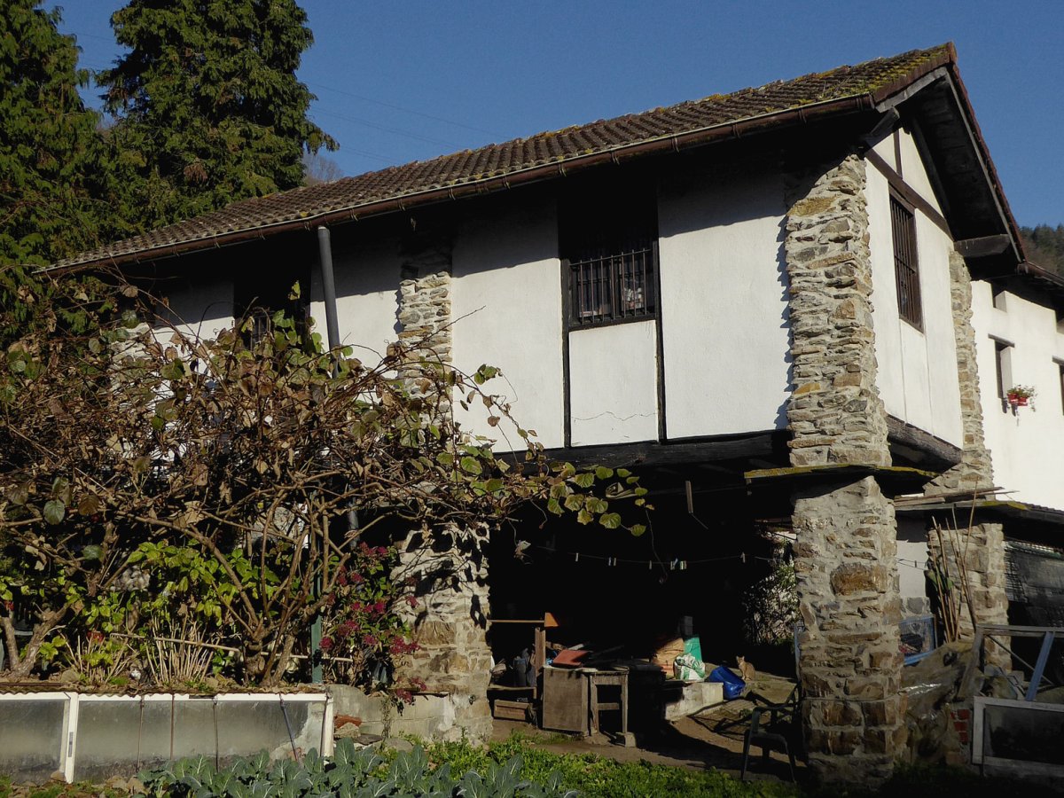 Gorotzenea garaia, Alegia