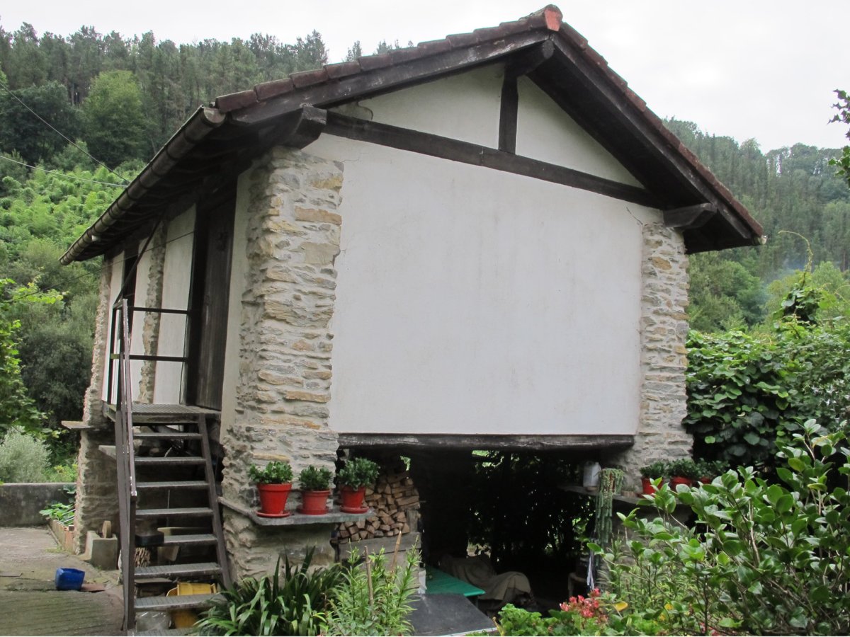 Gorotzenea garaia, Alegia