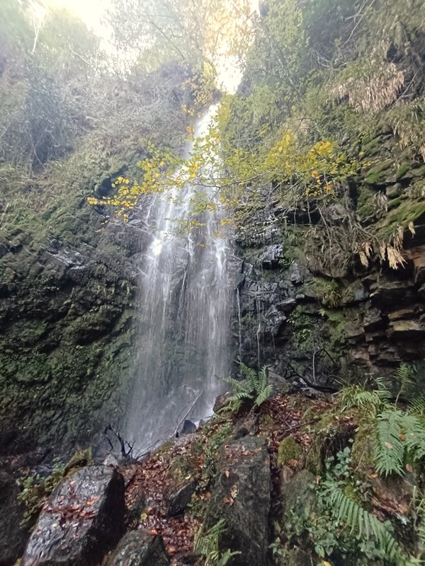 Belaustegi Ur Jauzia