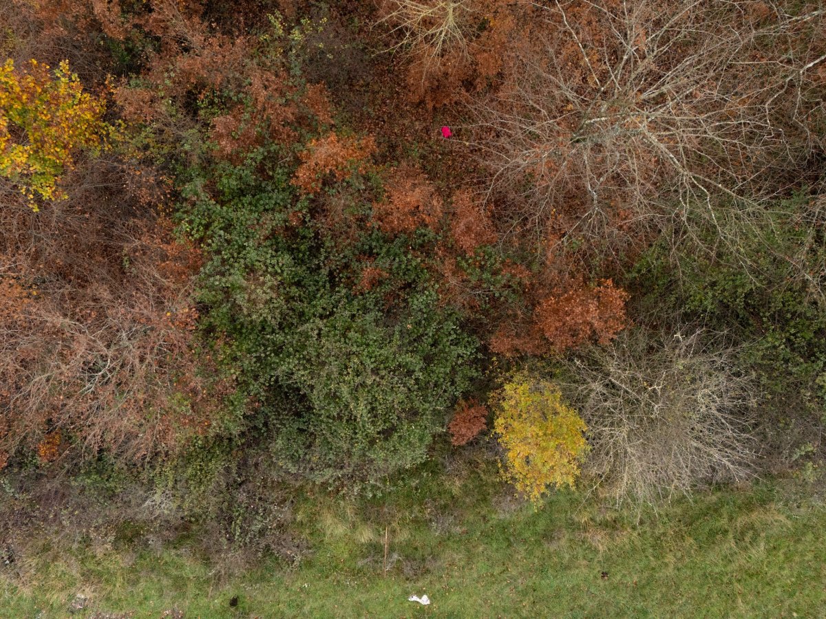 Raso del corral de Marino