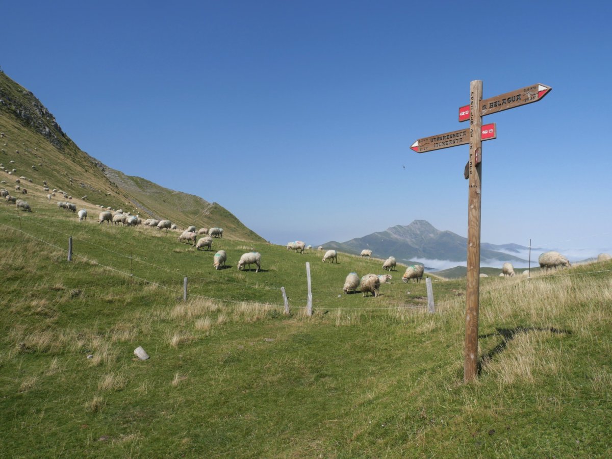 Uthurrurdinetako lepoa, Otsogorrigaina eta Sardekagaina artean
