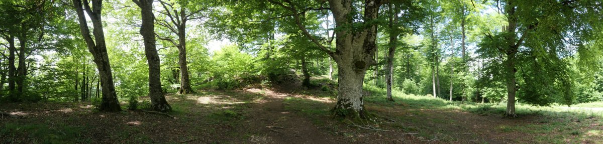 Portu Berriaren inguruan