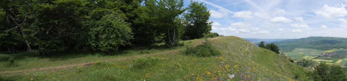 El Sombrerete tontorra mendebaldetik