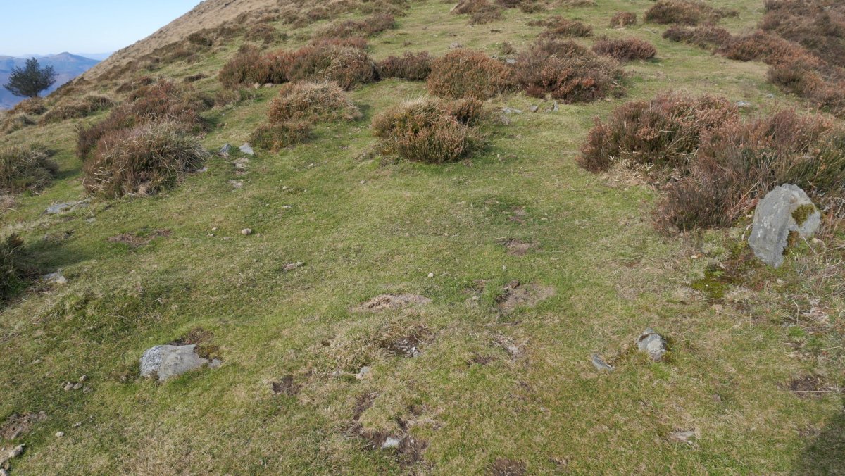 Beltzuntza harrespila