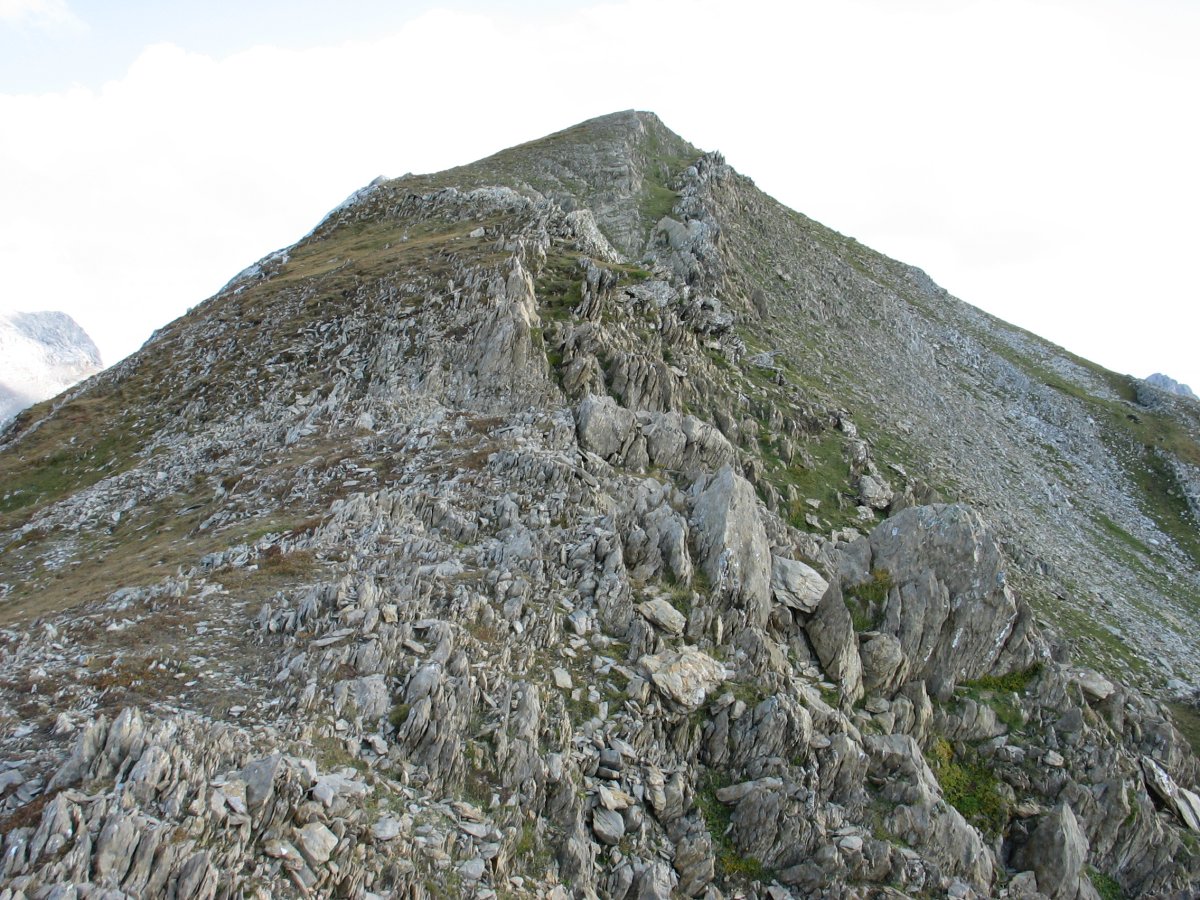 Añelarraren mendebaldeko bizkarra
