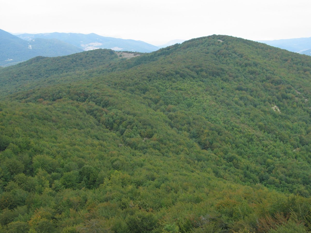 Mendurro Mintxegitik