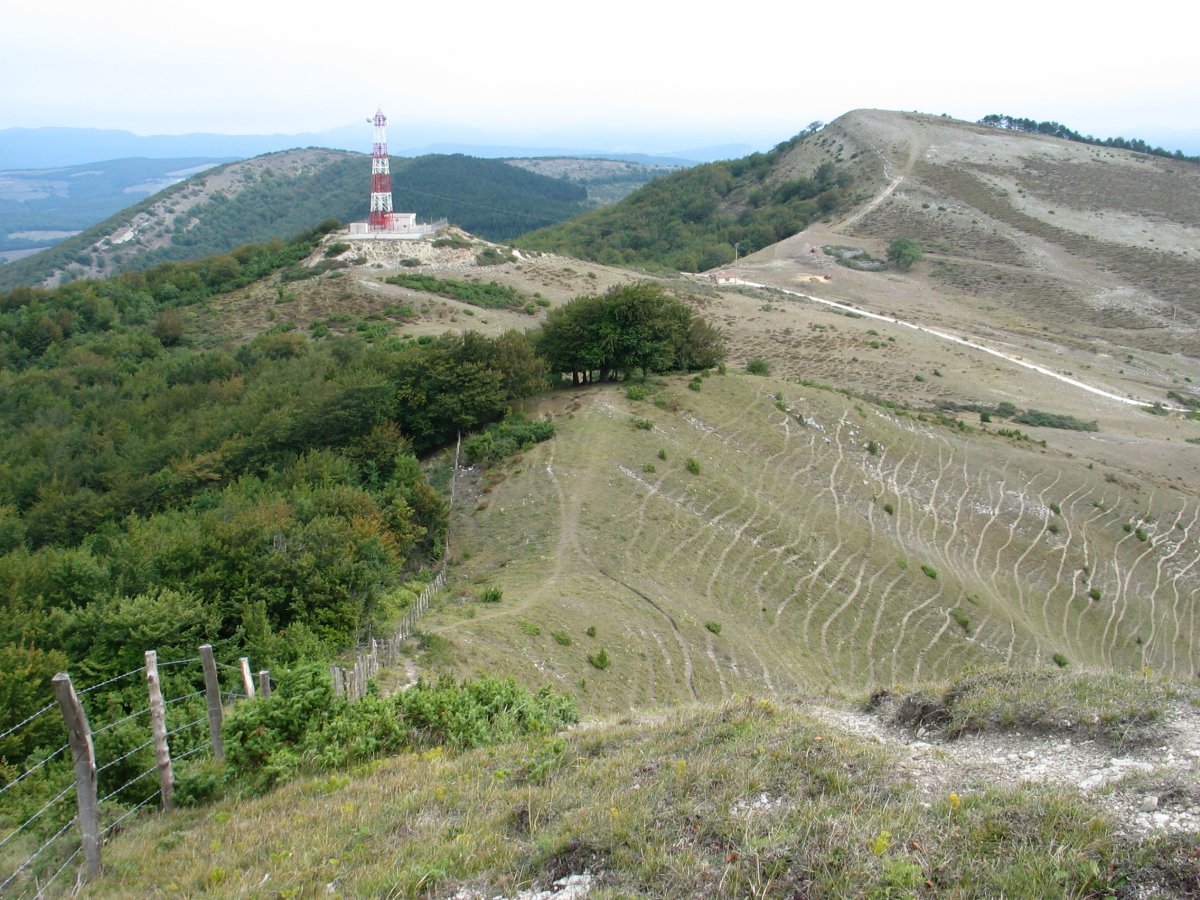 Landako (antenaduna) eta Mintxegi Urrutxagatik