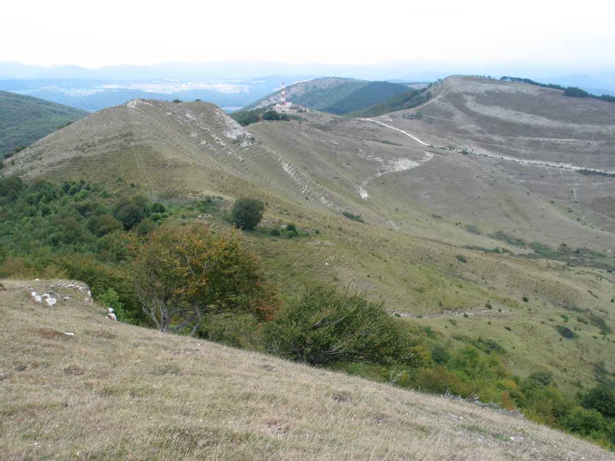 Urrutxaga, Landako eta Mintxegi Arriaunditik