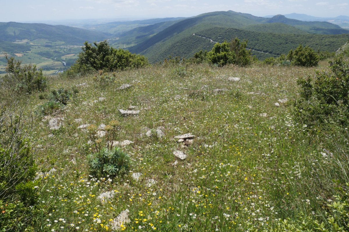 El Rancho tumulua, Etxauriko Haitzaren ekialdeko bizkarrean