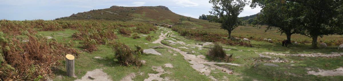 Altsanga mendebaldetik