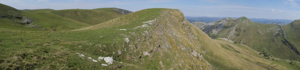 Salingain tontorra hegoaldetik