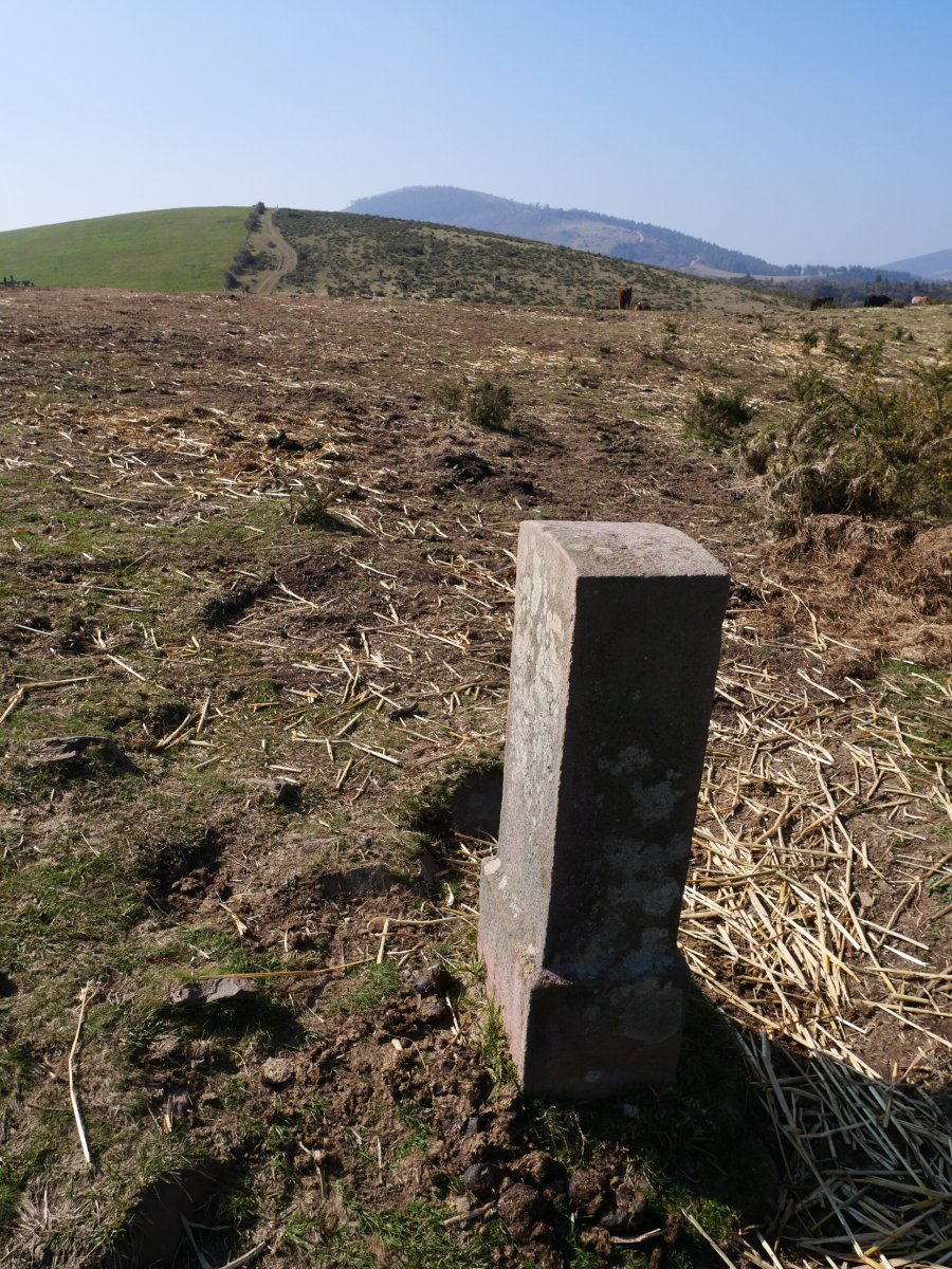 R17 mugarria Erentzazun