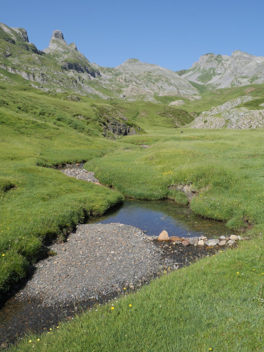Portalet errekastoaren aldamenetik abiatzen da ibilbidea