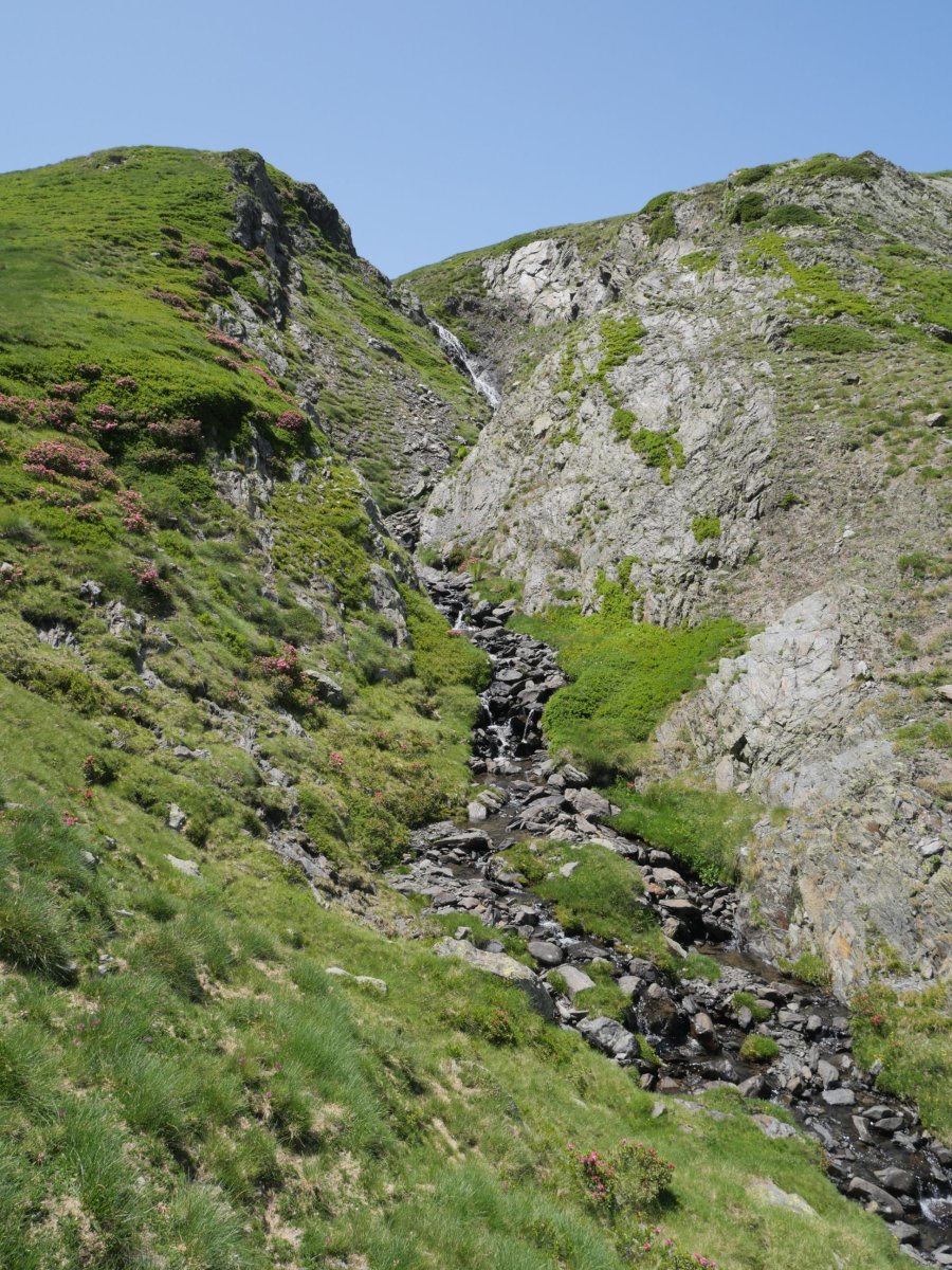 Plaa de la Gradillère zeharkatzen duen errekastoa hazten doa behera egin ahala