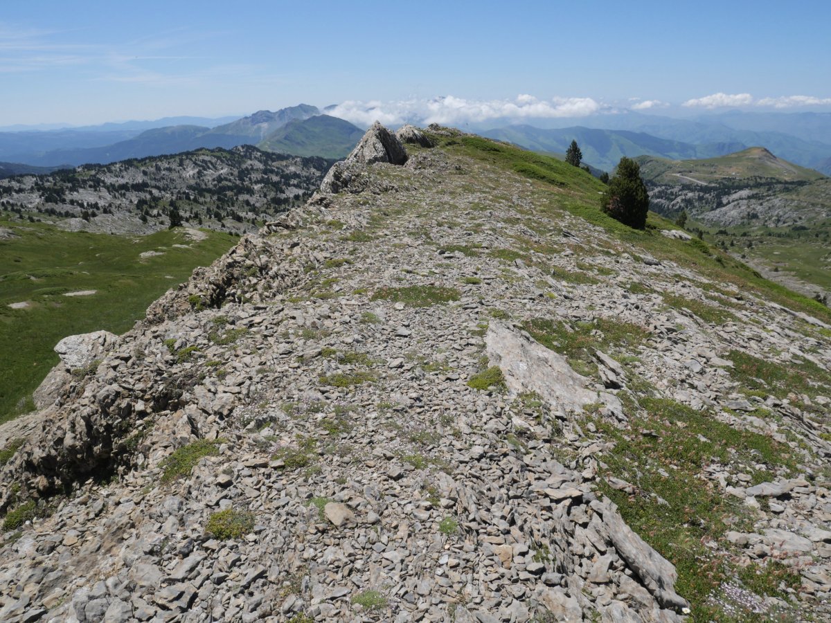 Iparraldeko muinoaren tontorra