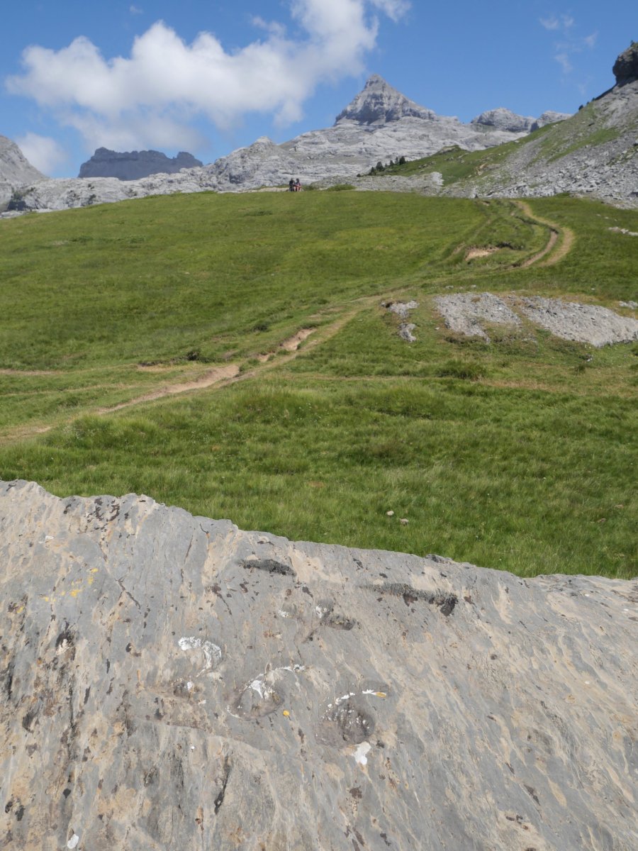 266. mugarria Portillo de Abajo lepoan, atzean Anie