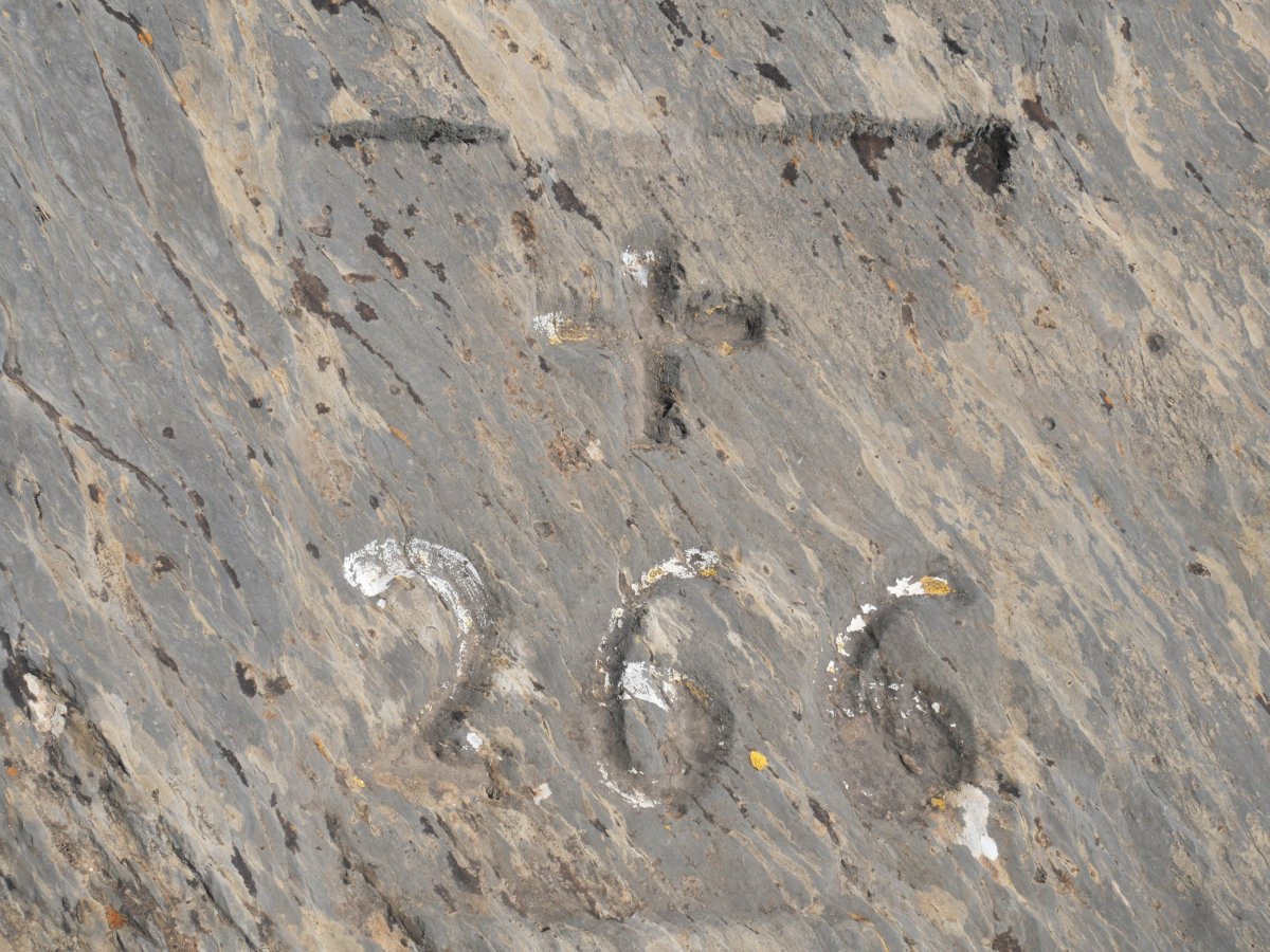 266. mugarria Portillo de Abajo lepoan