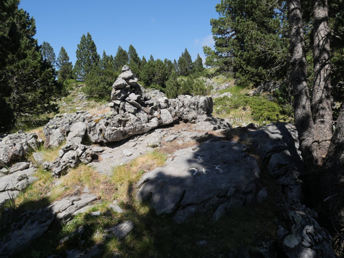 263. mugarria, San Martin Harritik gertu