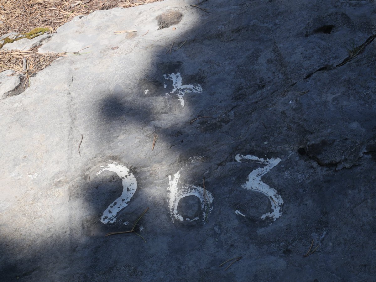 263. mugarria, San Martin harritik gertu