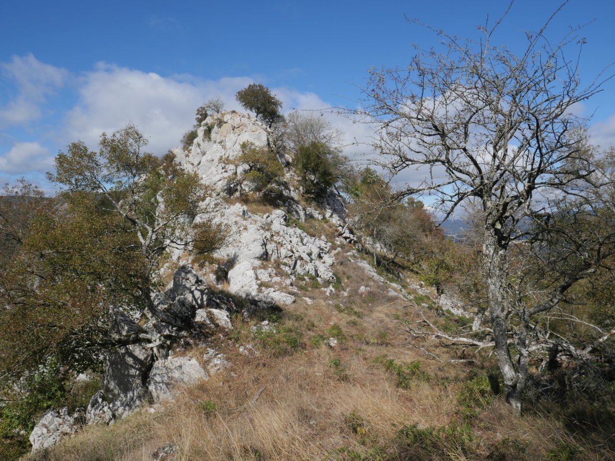 Mundumalkorra HEko lepotik