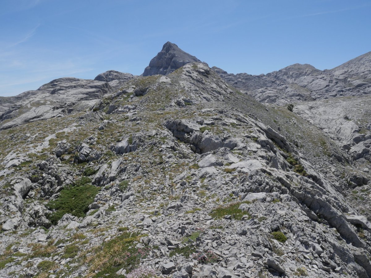 Latras menditik gora jarraituta bada beste muino harritsu bat