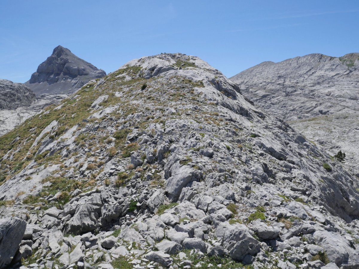 Latras menditik gora, hurrengo tontorra