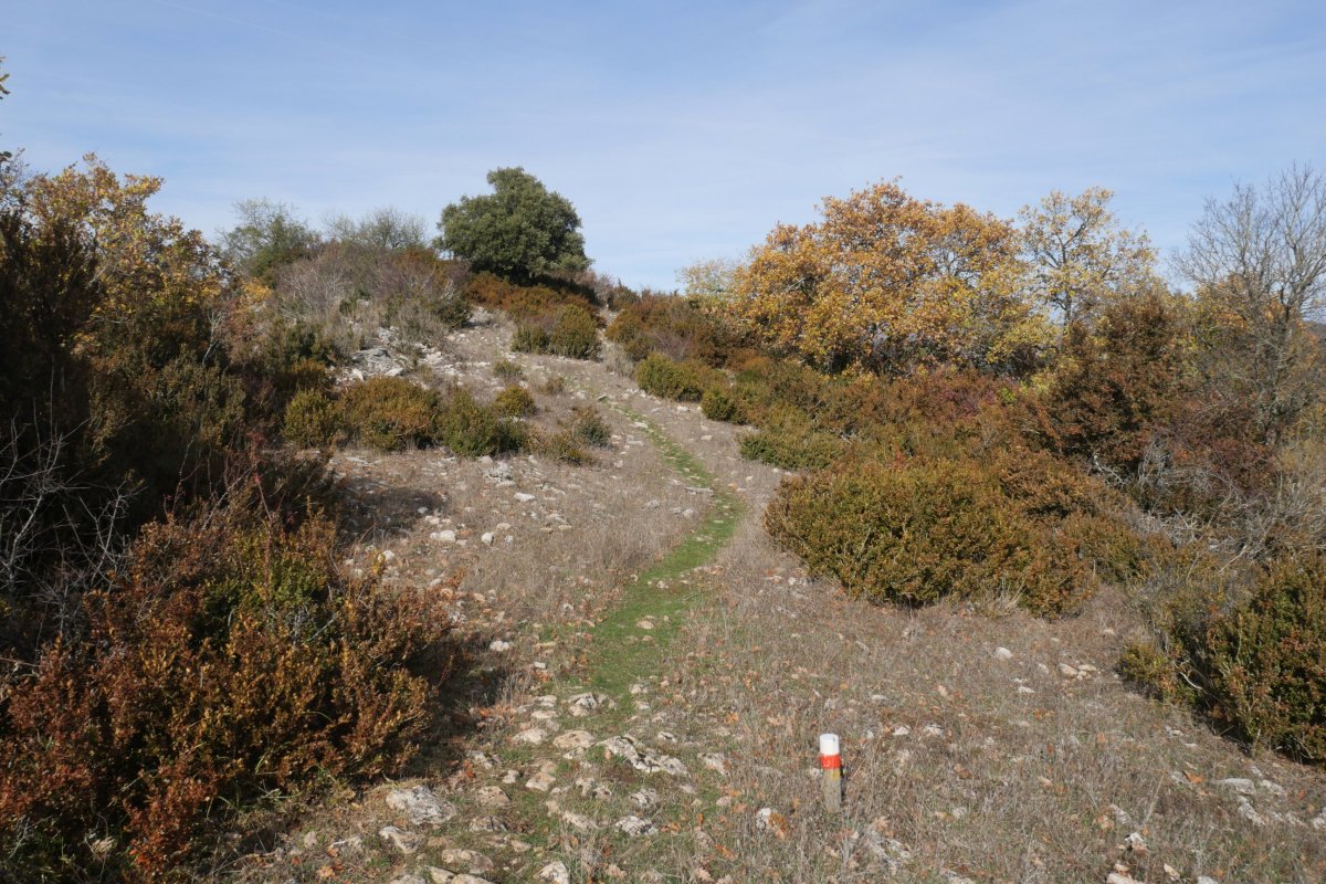 Itxesorde tontorrera gerturatzen